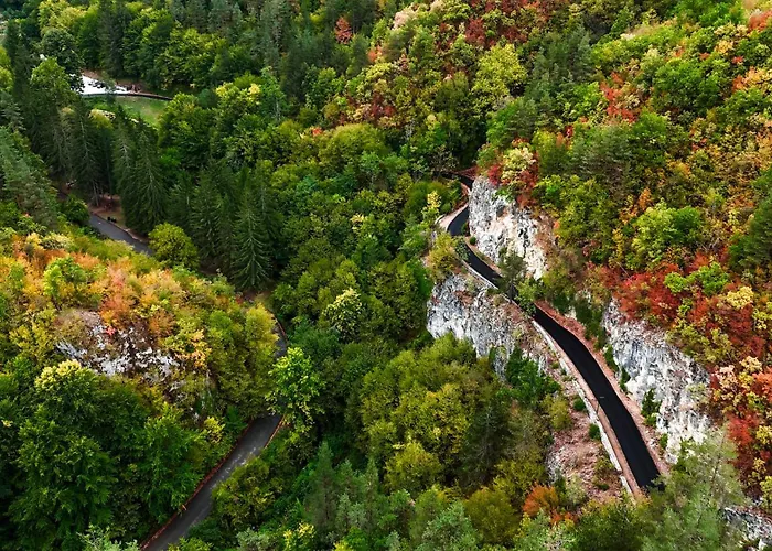 Rossa Luxury & Narechenski Bani